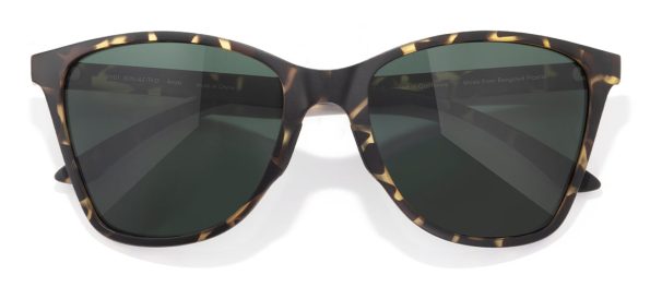 sunski_polarized_sunglasss_anza_tortoise_forest_featured